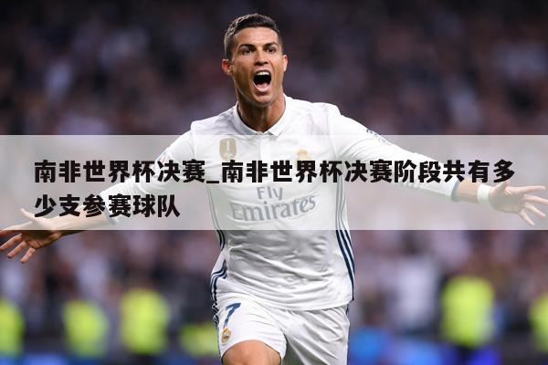 南非世界杯决赛_南非世界杯决赛阶段共有多少支参赛球队