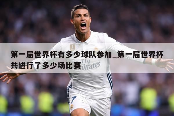 第一届世界杯有多少球队参加_第一届世界杯共进行了多少场比赛