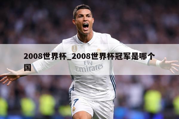 2008世界杯_2008世界杯冠军是哪个国