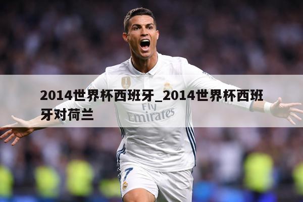 2014世界杯西班牙_2014世界杯西班牙对荷兰