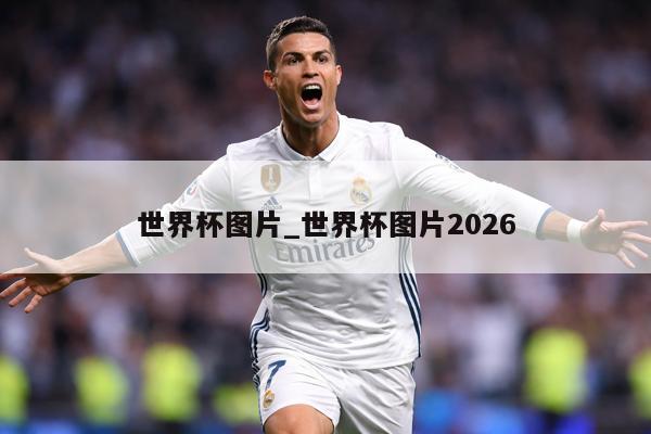 世界杯图片_世界杯图片2026